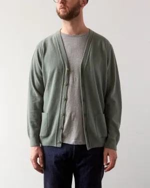 La Paz Almeida Cardigan, Moss