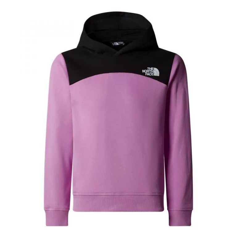 The North Face Girls Back Logo Relaxed Pullover Hoodie Dragonfluit