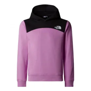 The North Face Girls Back Logo Relaxed Pullover Hoodie Dragonfluit